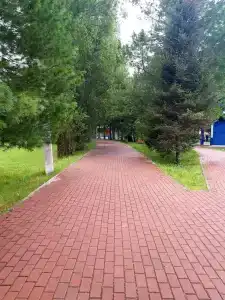 Кедр - 4