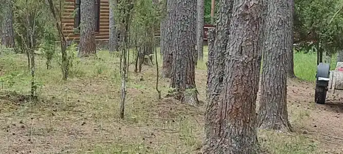 Стёпаново - 41