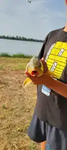 Жара - 34