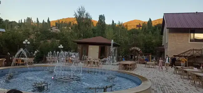 Layner Complex - 100