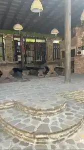 на Заречной - 20
