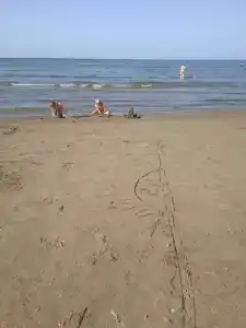 Энергетик - 38