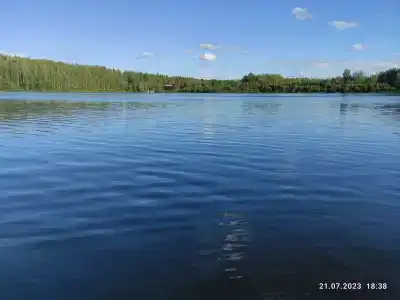 Оредеж - 85