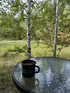 ForestHouse Лесной домик - 76