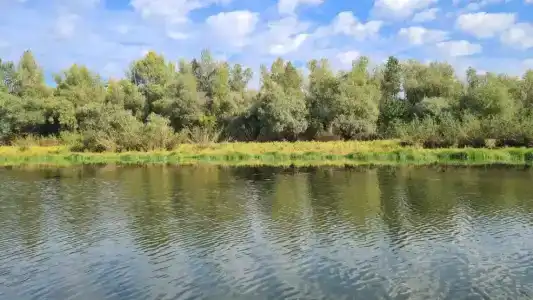 Промысловая - 40