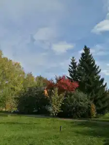 Зотино - 40