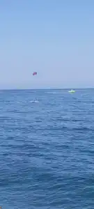 Ай Василь - 40