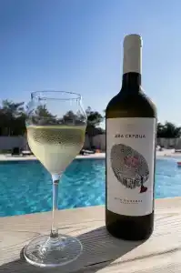 Alma Park Resort - 76