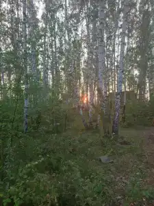 Уралец - 24
