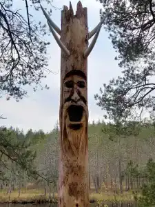 Пансионат Ольшаники - 62