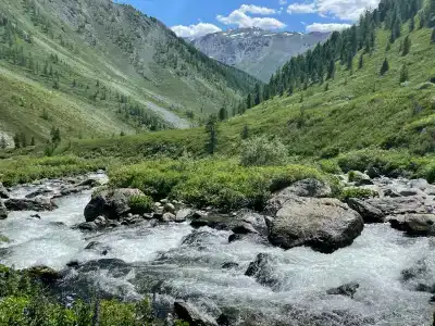 Лесной Дворик - 2