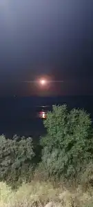 Южный флот - 23