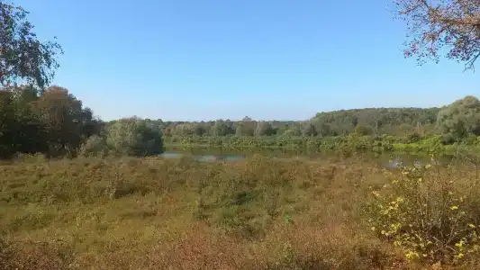 Улыбышево - 86