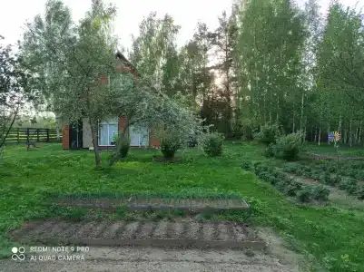 Хуторок Борок - 7