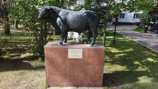 Раздолье - 30