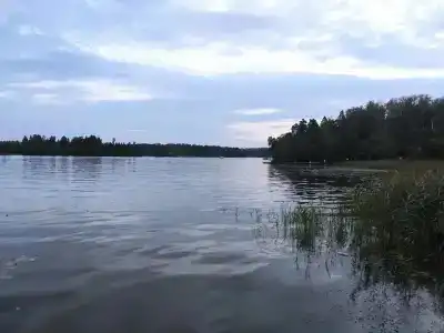 Пикник клуб - 1