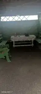 Шепалово - 31