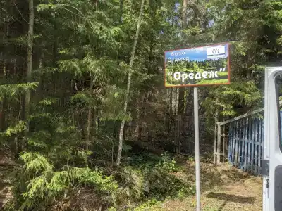 Оредеж - 40