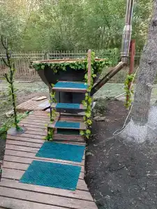 Дон 5 озёр - 49