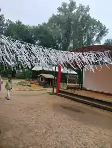 Зелёный берег - 39