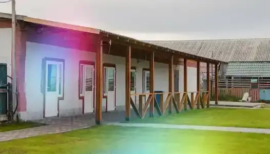 Мурманская страусиная ферма - 42