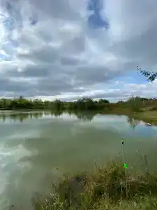 Сендега - 31