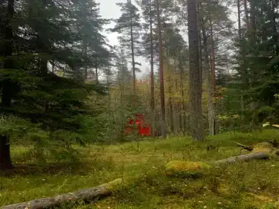 Глэмпинг Shanti Home - 58