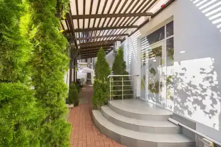 Абрикос Плюс - 1