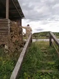 Шерья - 43