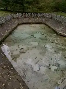 Четыре сезона - 9