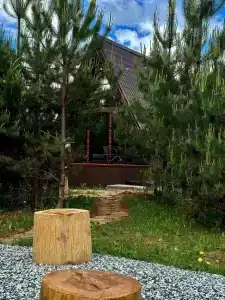 Forest camp - 5