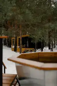 Место под соснами - 40