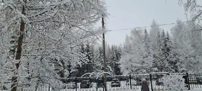Жемчужина - 35