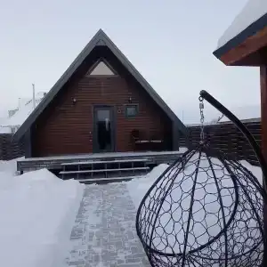 Страусы Биляра - 31
