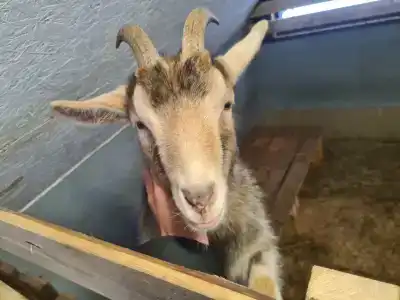 Кроличья нора - 83