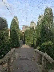 Парнас - 18