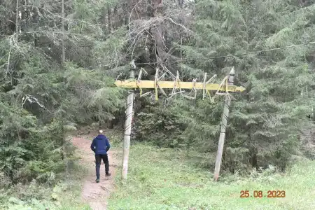 Сказка - 6
