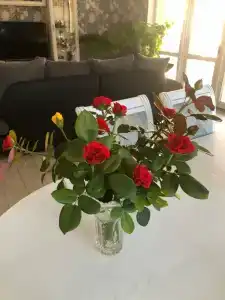 Жемчужина - 23