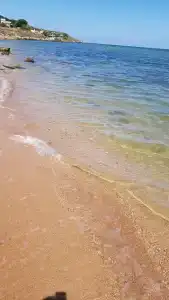 Замок грез - 45