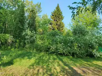 Бобровниково - 31