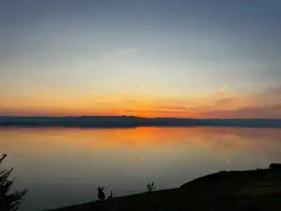 Байкал-Бабр - 82