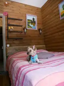 Беловежское Поместье - 53