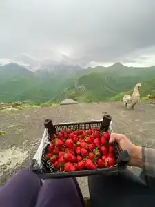 Этнопоселение - 26