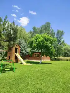 Зеленый Яр - 21