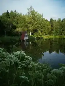 Горшиха - 15