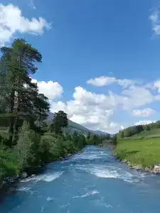 Эдельвейс - 5