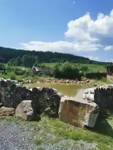 Тайга - 43