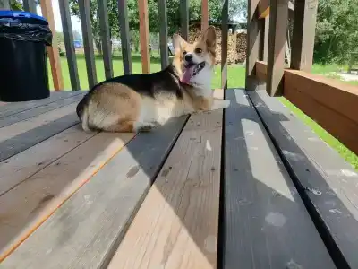 МайнДорф - Батаково - 83