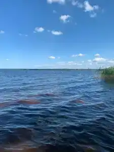 СерфСтанция Волго - 55