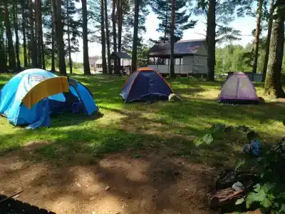 Зелёная роща - 85